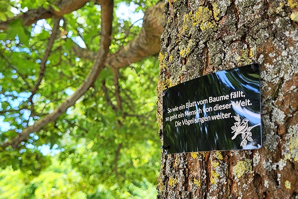 Ein Laubbaum mit grünen Blättern. Am Stamm ist ein Metallschild angebracht, mit den Worten "So wie ein Blatt vom Baume fällt, so geht ein Mensch von dieser Welt. Die Vögel singen weiter."